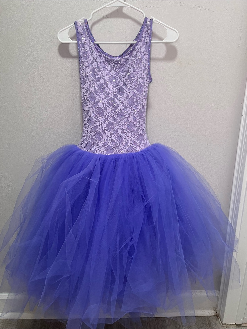Purple Lace & Tulle Dance Dress Adult Small